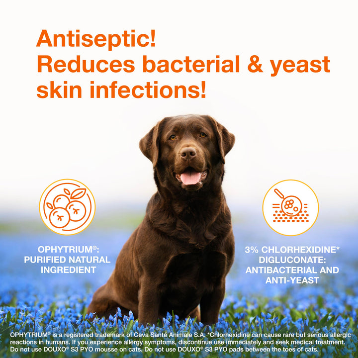Douxo S3 PYO Medicated Dog Mousse - Bacterial &amp; Yeast Infection Treatment