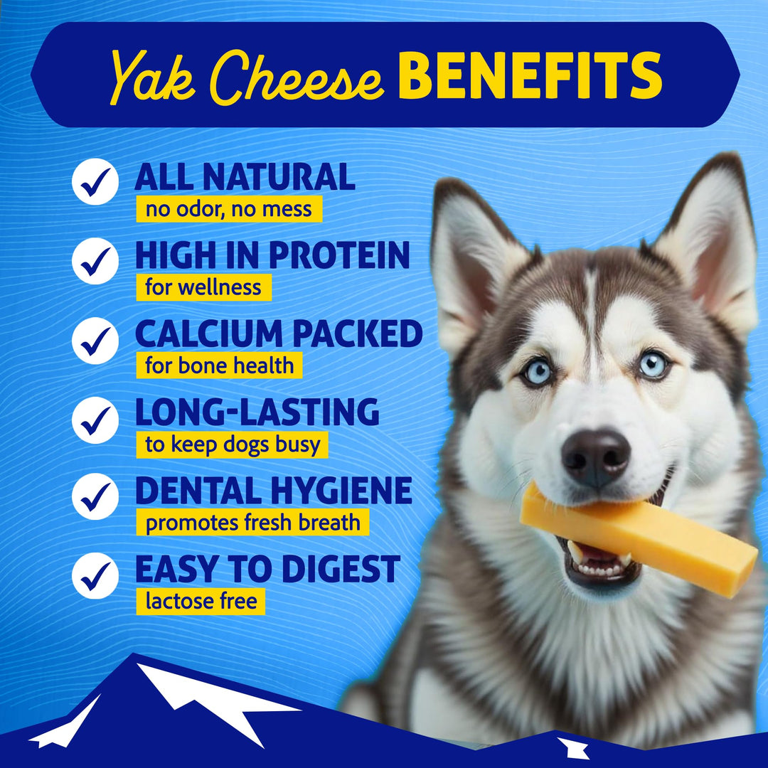 Himalayan Dog Chew, The Original Yak Cheese Dog Chews, 3 Large/XL Yak Chews
