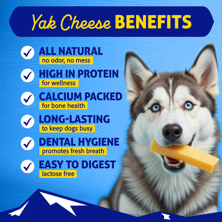 Himalayan Dog Chew, The Original Yak Cheese Dog Chews, 3 Large/XL Yak Chews