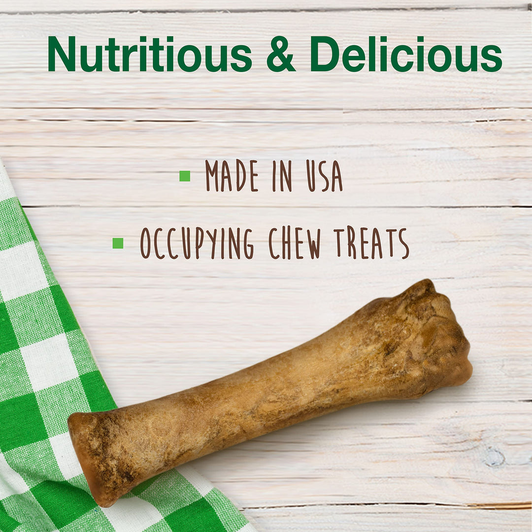 Nylabone Healthy Edibles Natural Dog Chews, Roast Beef Flavor, XL, 1 Ct