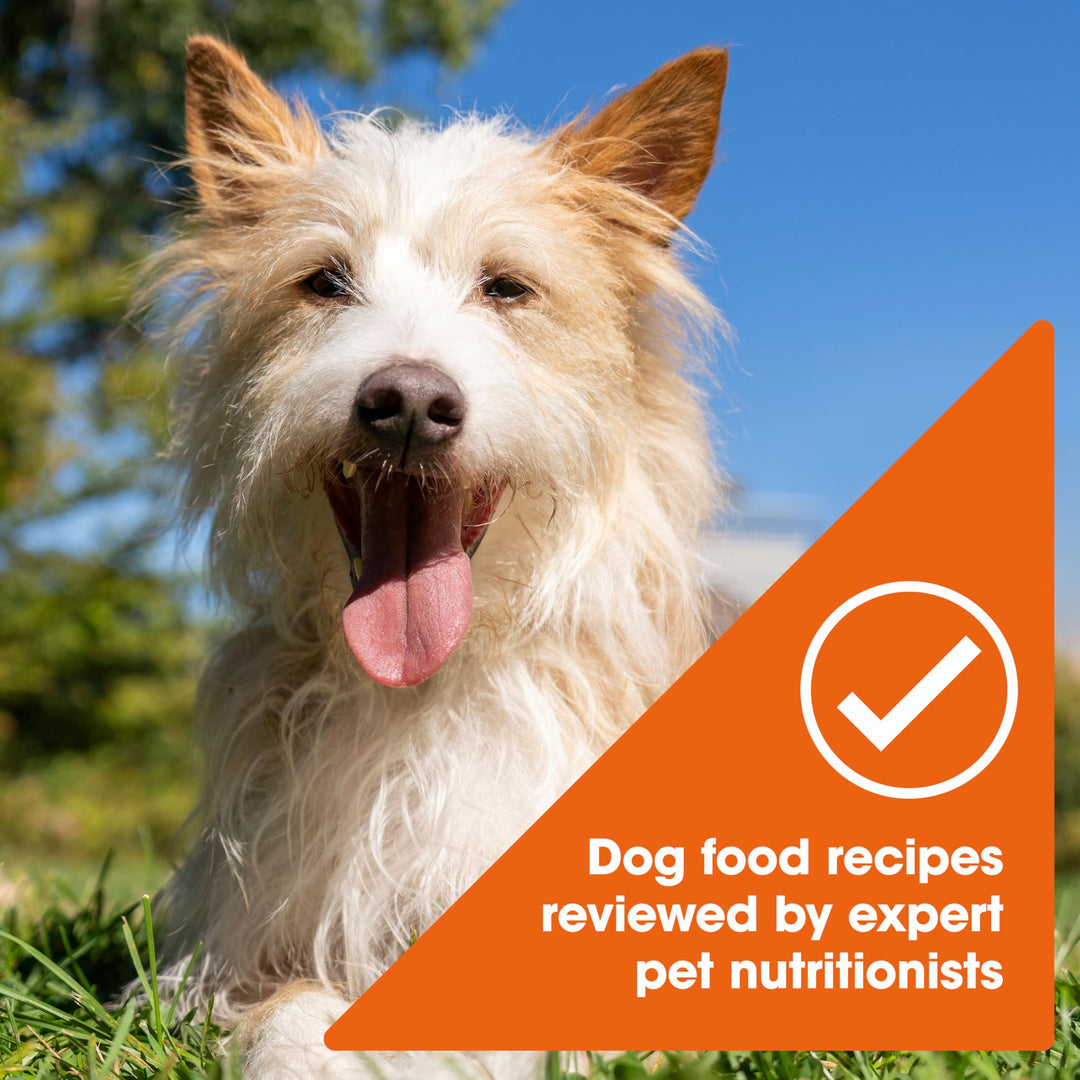 Nature’s Recipe Grain Free Wet Dog Food Chicken, 13 oz. Can (Pack of 12)
