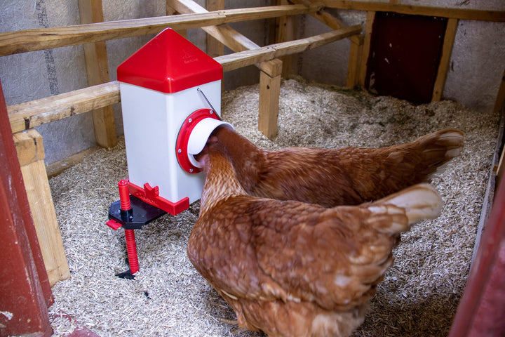 RentACoop 5lb Single Port Chicken Feeder