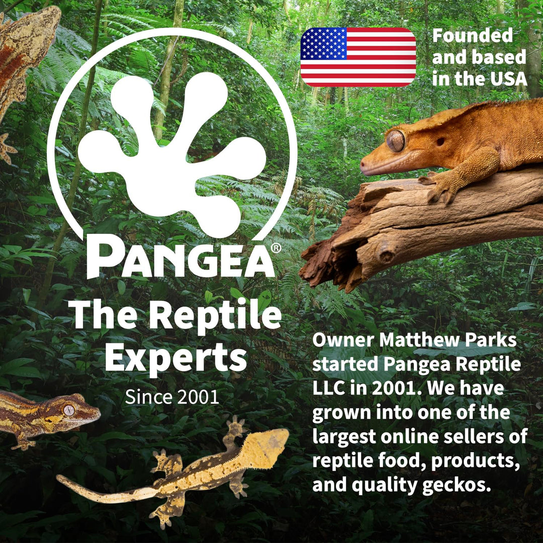 Pangea Silicone Gecko Feeding Ledge - Magnetic Mini Food Dish, Black