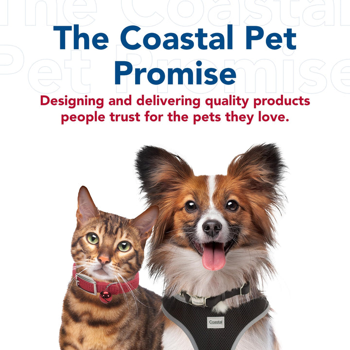 Coastal Pet Bergan Comfort Carrier - Breathable Travel Carrier for Dogs &amp; Cats - Black &amp; Grey, 19" x 10" x 13"