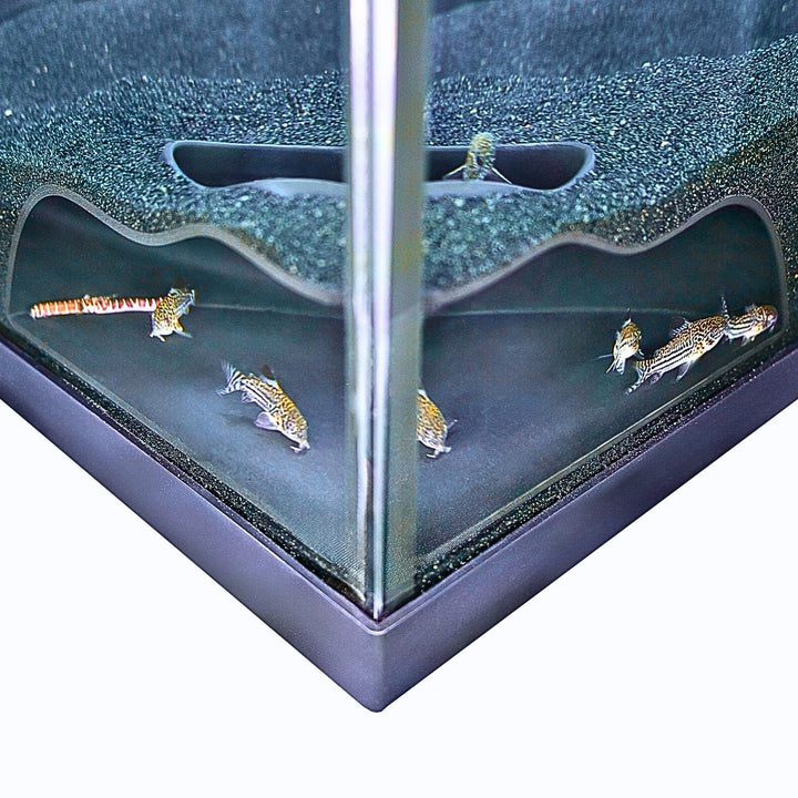 Lucky Critter Aquarium Underground Corner Cave Natural Curve | Viewing Fish &amp; Shrimp Under Gravel Tunnel | Fish Tank Decor Decoration Hideout Perfect for Corydora Catfish, Kuhli Loach, Pleco
