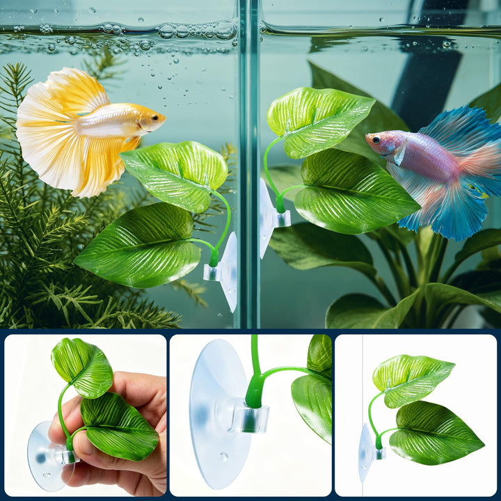 CousDUoBe 2 Pack Betta Fish Leaf Pad Improves Betta&