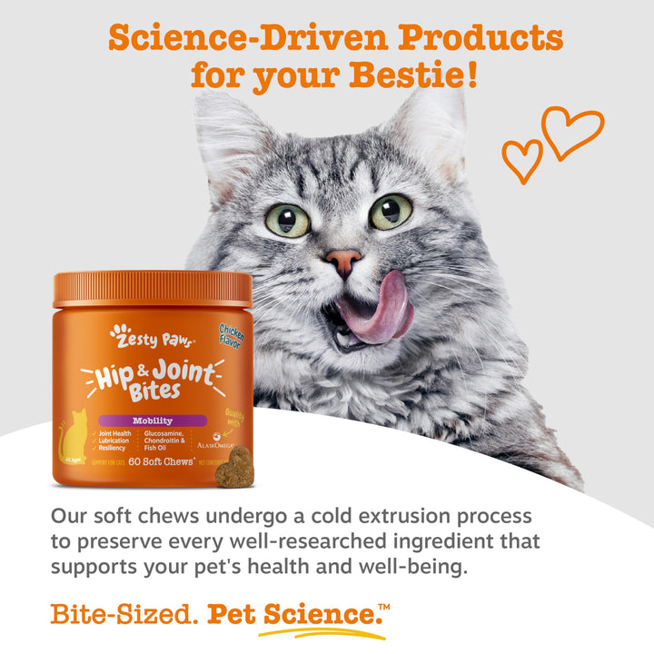 Zesty Paws Cat Joint Supplement - Glucosamine for Cats, Chicken, 60 Ct