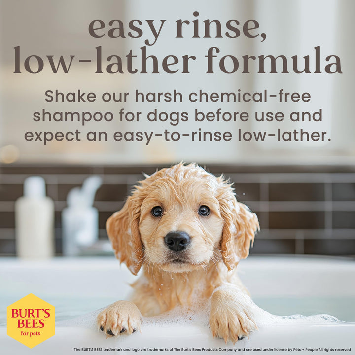 Burts Bees Tearless Puppy Shampoo &amp; Conditioner with Buttermilk, 16 Fl Oz