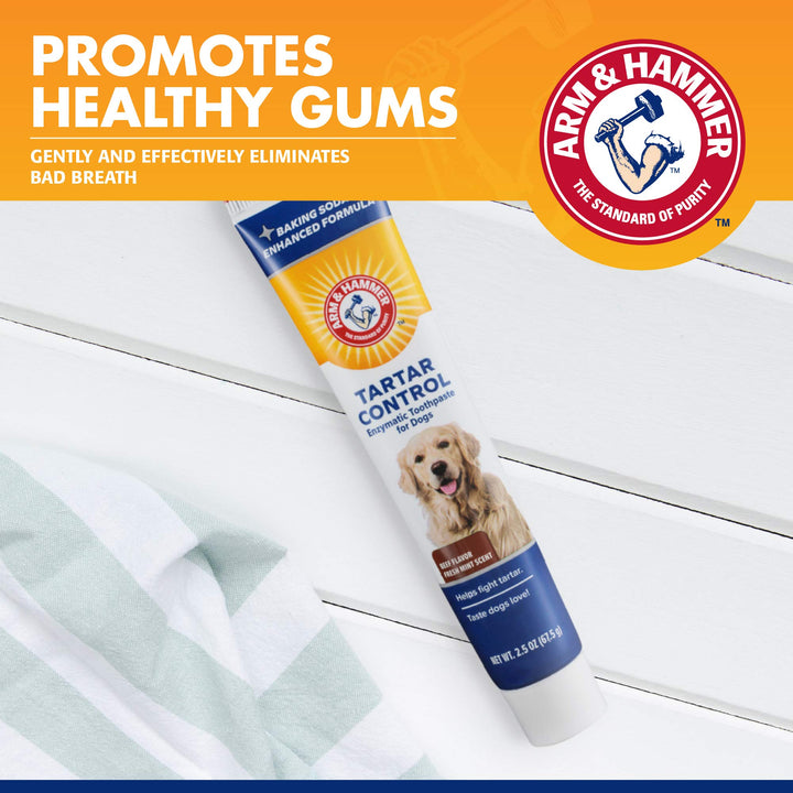 Arm &amp; Hammer Tartar Control Enzymatic Dog Toothpaste, Beef Flavor, 2.5 Oz