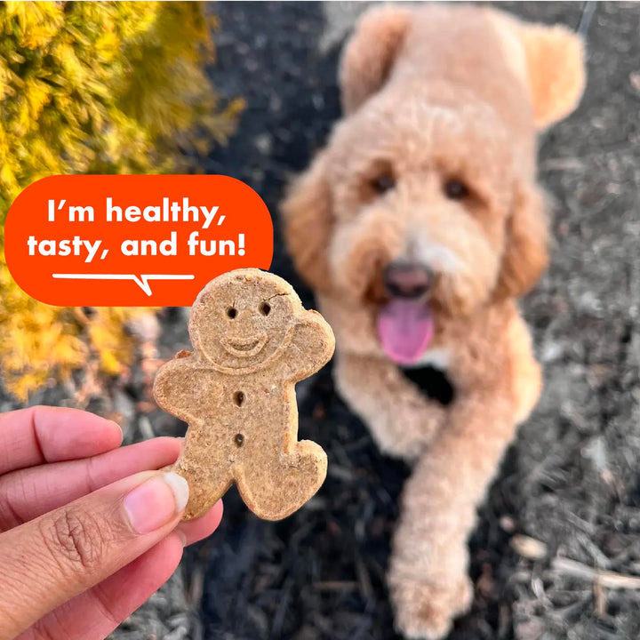 Buddy Biscuits Crunchy Dog Treats, Peanut Butter, 16 oz Box