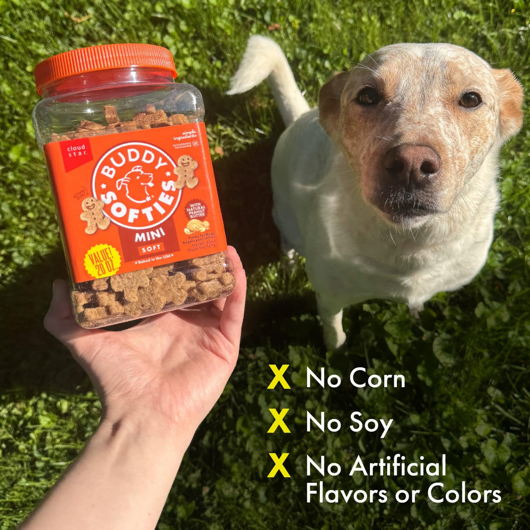 Buddy Biscuits Mini Soft &amp; Chewy Dog Treats, Peanut Butter, 20 oz Jar
