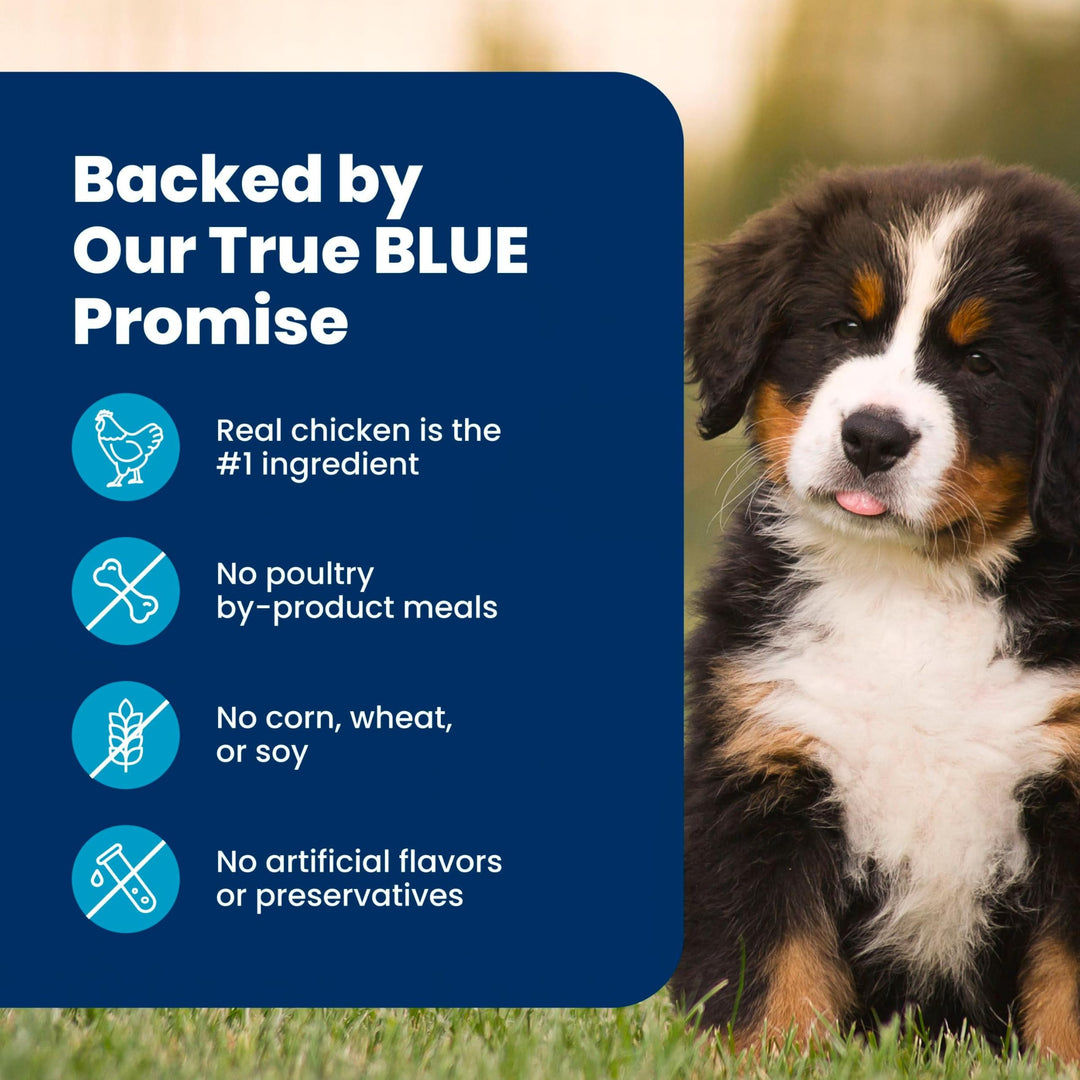 Blue Buffalo Life Protection Formula Chicken Large Puppy Dog Food, 30 lb