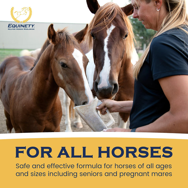 100-Day Supply Equinety Horse XL Powder Horse Supplement with Amino Acids