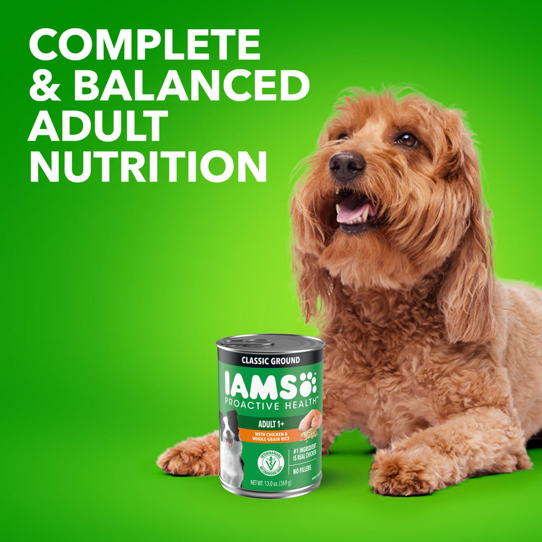 IAMS Proactive Health Ground Wet Dog Food, Chicken, 13 oz, 12 Pack