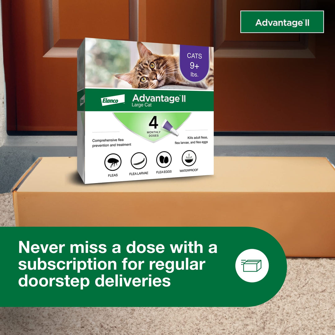 Advantage II Large Cat Topical Flea Treatment &amp; Prevention, 4ct