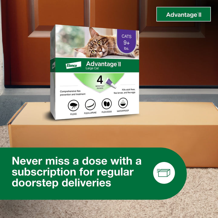 Advantage II Large Cat Topical Flea Treatment &amp; Prevention, 4ct