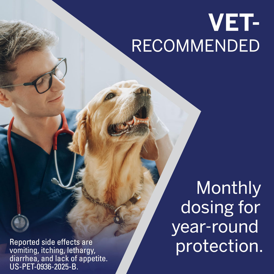 NexGard® (afoxolaner) Flea and Tick Protection for Dogs Oral Soft Beef Flavored Chewables, 60.1 to 121 lbs (Red Box) 6 Chews (6 Month Supply)