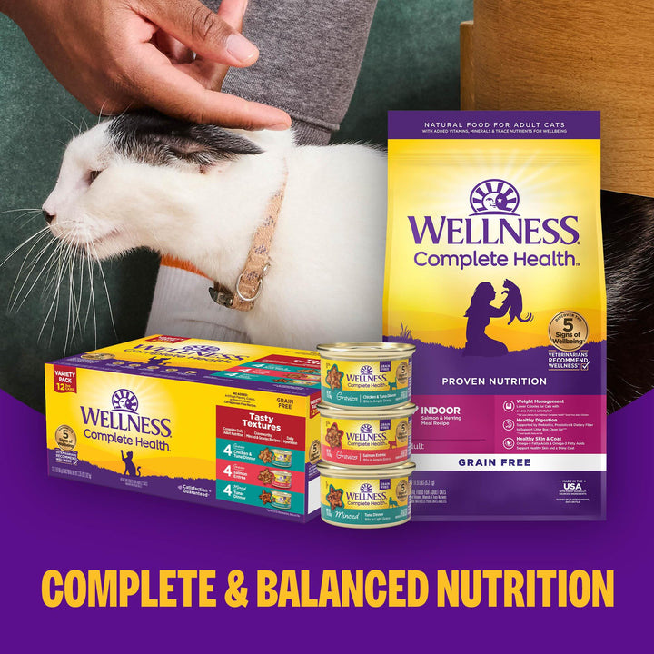 Wellness Complete Health Pate Adult Wet Cat Food, Natural, Protein-Rich, Grain Free, 5.5 Ounce, 12 Pack, (Turkey &amp; Salmon)