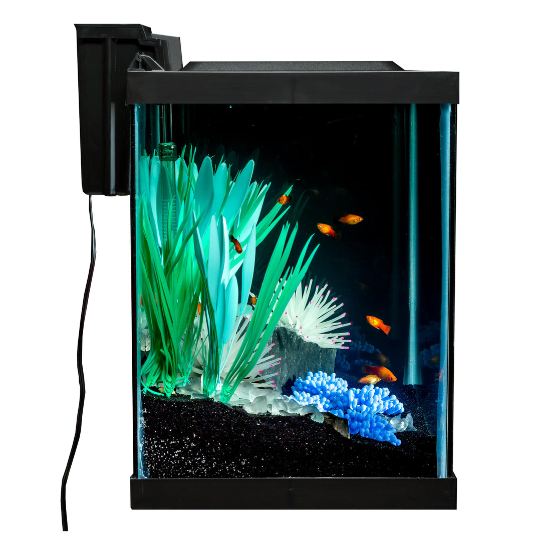 Tetra ColorFusion 20 Gallon Complete Aquarium Kit