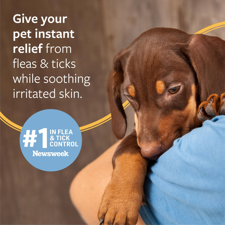Veterinary Formula Flea and Tick Shampoo for Dogs and Cats, 16 oz