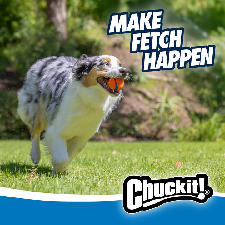 Chuckit! Ultra Rubber Dog Ball, Floating Fetch Toy, Medium 2.5-in, 2-Pack