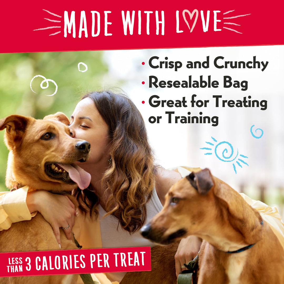 Charlee Bear Original Dog Training Treats, Cheese &amp; Egg, 16 oz