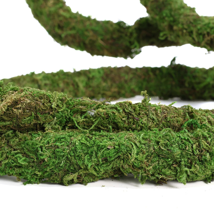 USMOLA Moss Vine for Reptiles, Bendable Climbing Vines Reptile Tank Accessories, Natural Moss Rope for Leopard Gecko, Lizard, Snake, Chameleon, Frog Terrarium Decor (Jungle Green, 6.5 FT)