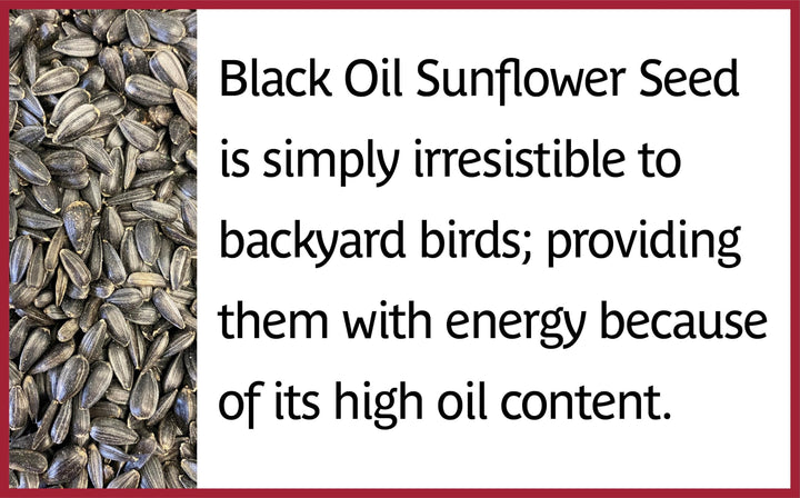 Pennington Select Black Oil Sunflower Seed 40lbs