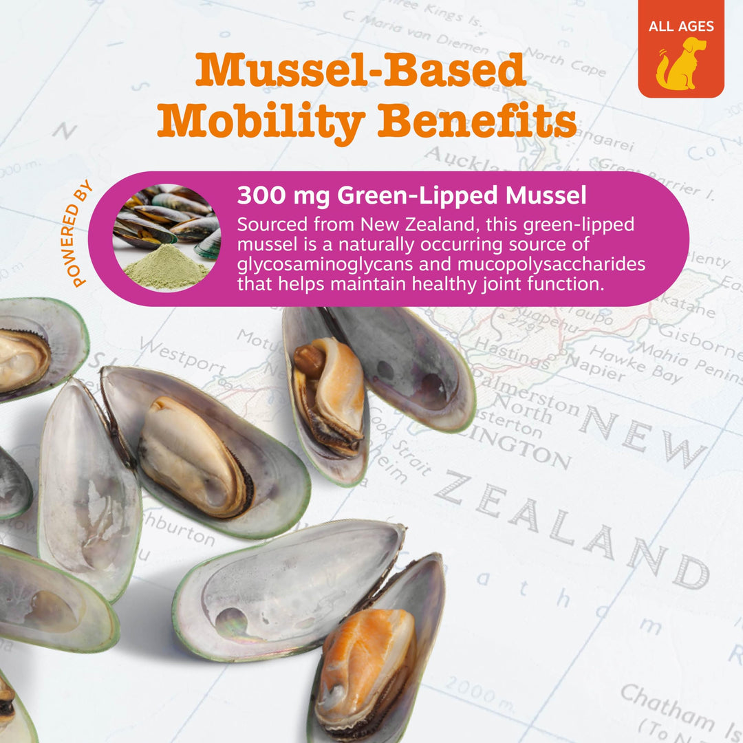 Zesty Paws Mussel Mobility Bites for Dogs - New Zealand Green Lipped Mussel with Natural Glucosamine &amp; Chondroitin + Omega-3 Fatty Acids - Hip &amp; Joint Support Supplement Soft Chews – 90 Count