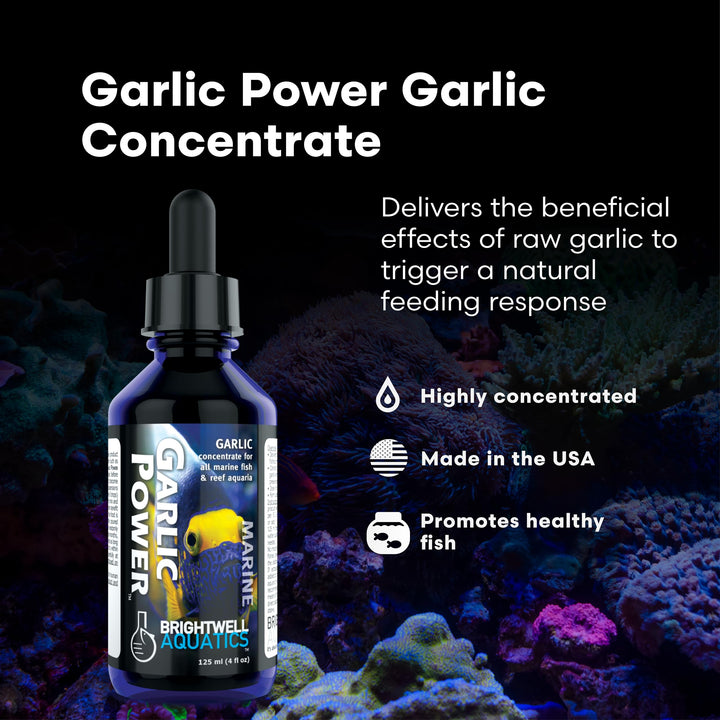 Brightwell Aquatics GarlicPower Garlic Extract for Aquarium Fish, 30 ml