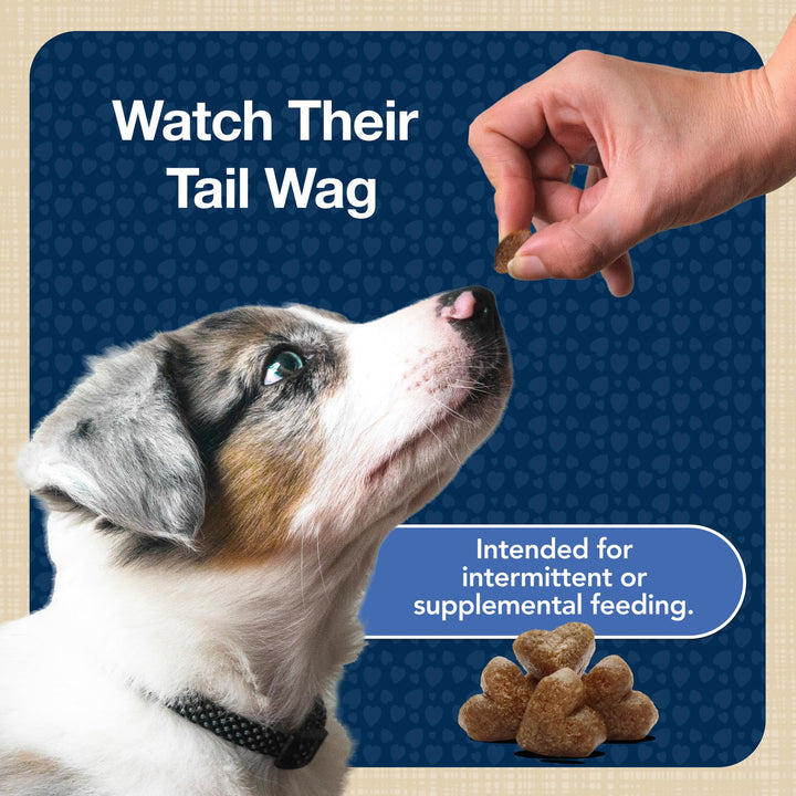 Blue Buffalo Bits Chicken Training Treats, 11 oz
