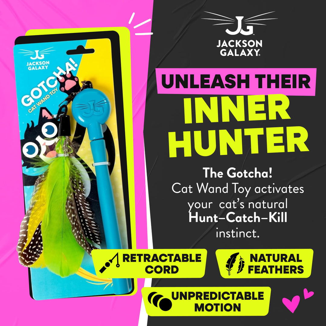 Jackson Galaxy Gotcha! Cat Wand Toy, Interactive Feather Teaser for Cats