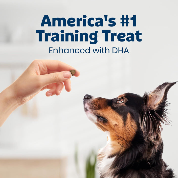 Blue Buffalo Bits Chicken Training Treats, 19 oz
