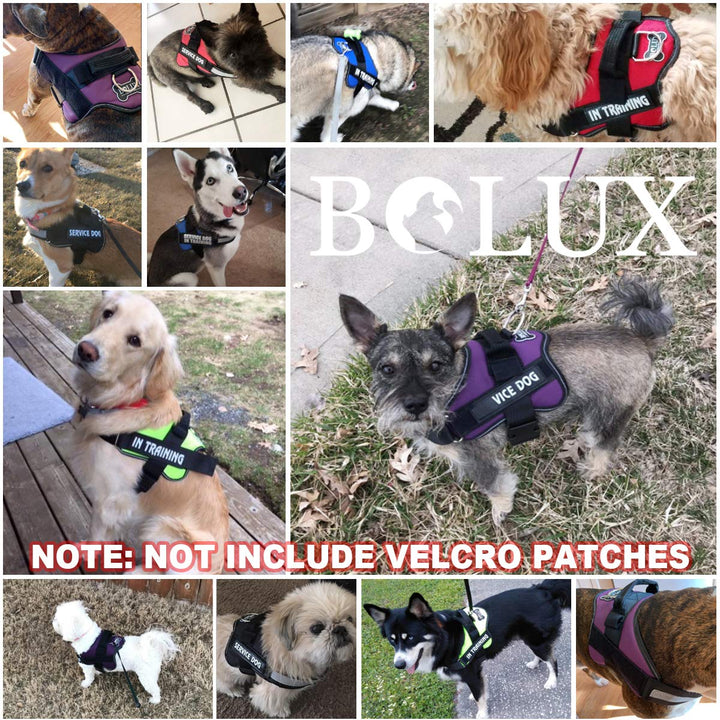 Bolux Dog Harness, No-Pull Reflective Dog Vest, Breathable Adjustable Pet Harness with Handle for Outdoor Walking - No More Pulling, Tugging or Choking (Black, L)