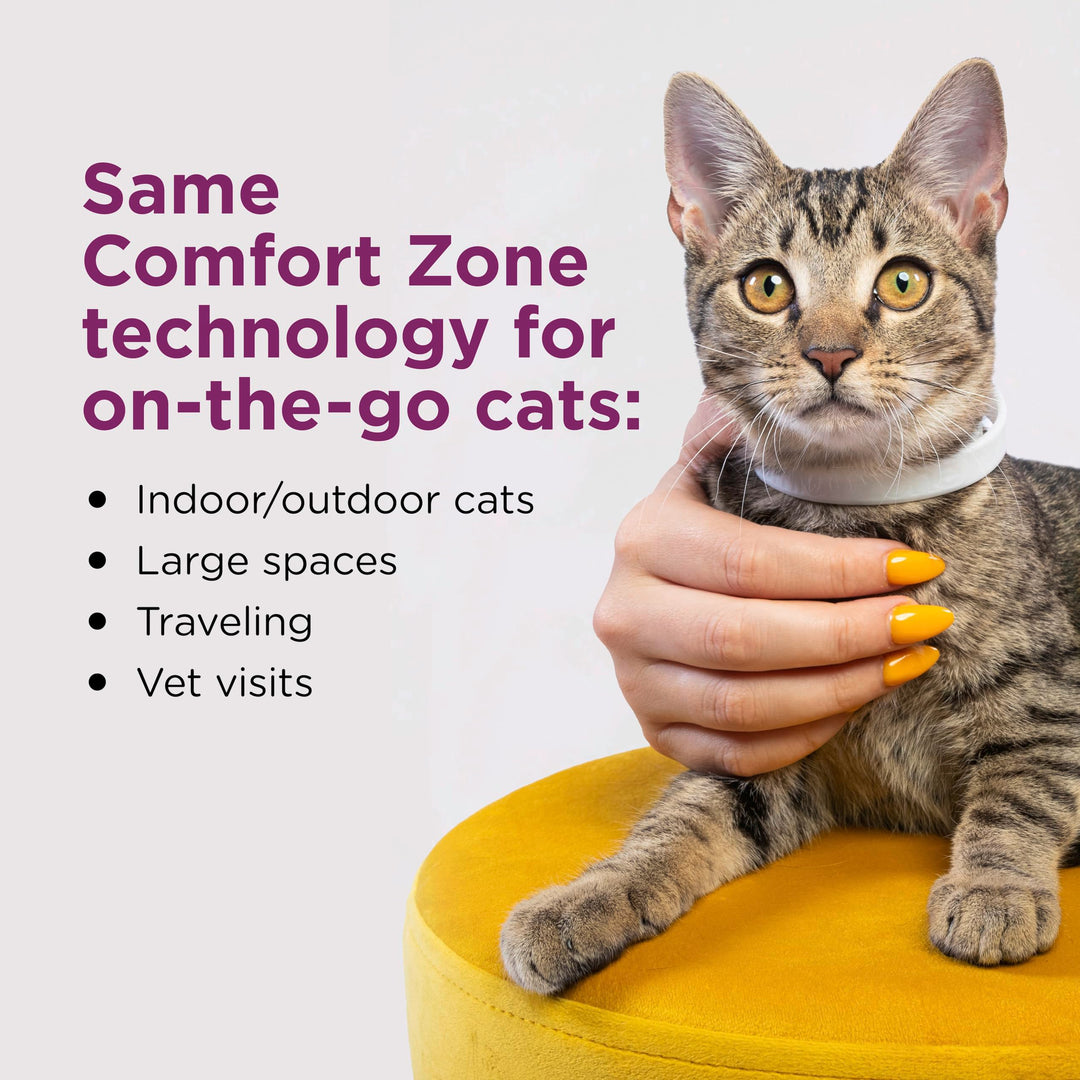 Comfort Zone Cat Calming Collar Starter Pack: 1 30-Day Calming Collar
