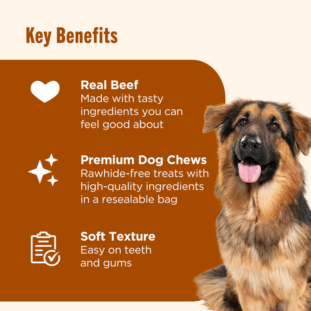 Rachael Ray Nutrish Soup Bones Dog Treats, Real Beef &amp; Barley Flavor, 3 Bones, 6.3 Ounces
