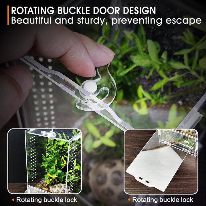 Acrylic Jumping Spider Habitat, Insect Terrarium, Bug Enclosure, Praying Mantis Habitat, Frog Enclosure