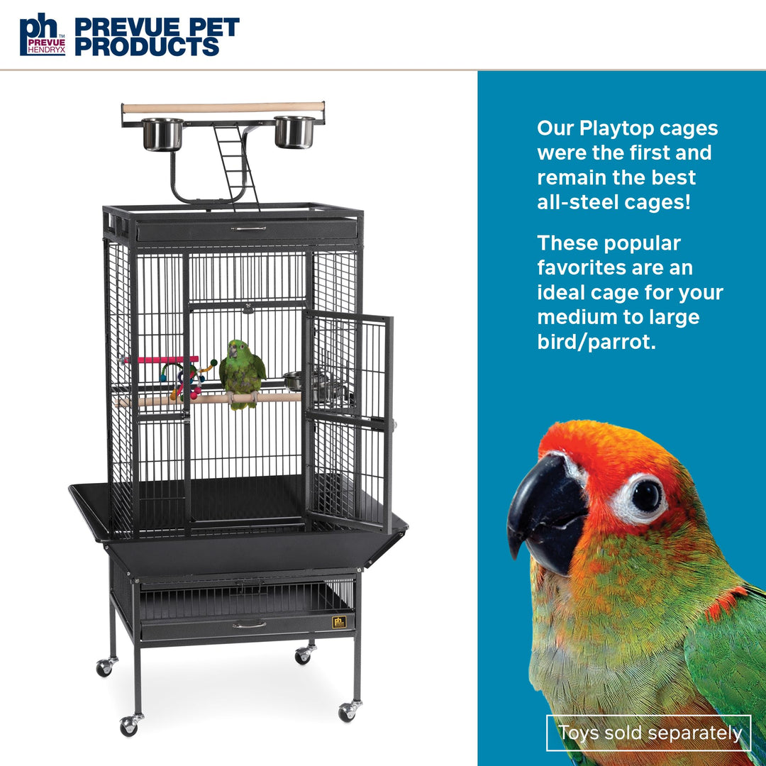 Prevue Pet Products Wrought Iron Select Bird Cage - L, Black Hammertone