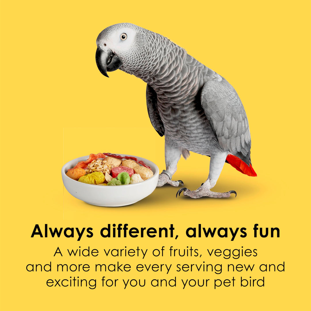 Kaytee Fiesta Parrot Food for Large Birds, 2.5 Pounds