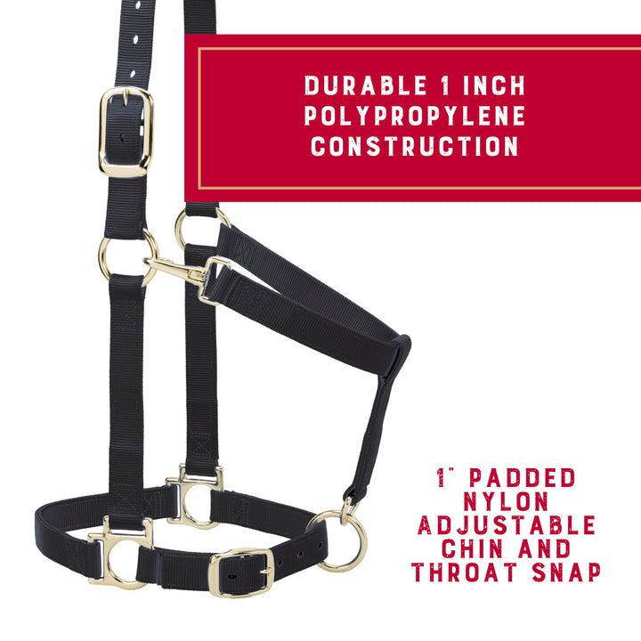 Weaver Equine Nylon Horse Halter, Average Horse, Padded &amp; Adjustable, 1 in
