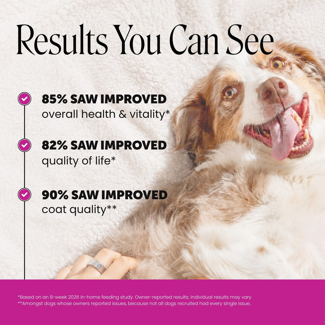 Pet Honesty Vet Recommended 10-in-1 Dog Multivitamin, 90 Ct, Chicken