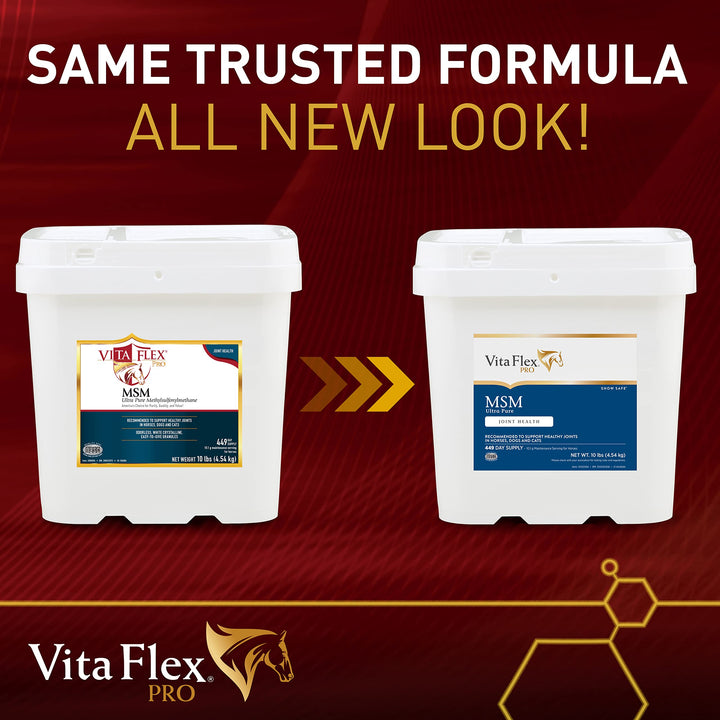 Vita Flex Ultra Pure Joint Supplement for Dogs, Horses &amp; Cats, 10 Pounds – MSM Supplement, Equine MSM Powder for Healthy Joints, Collagen &amp; Mobility Support, Odorless White Powder