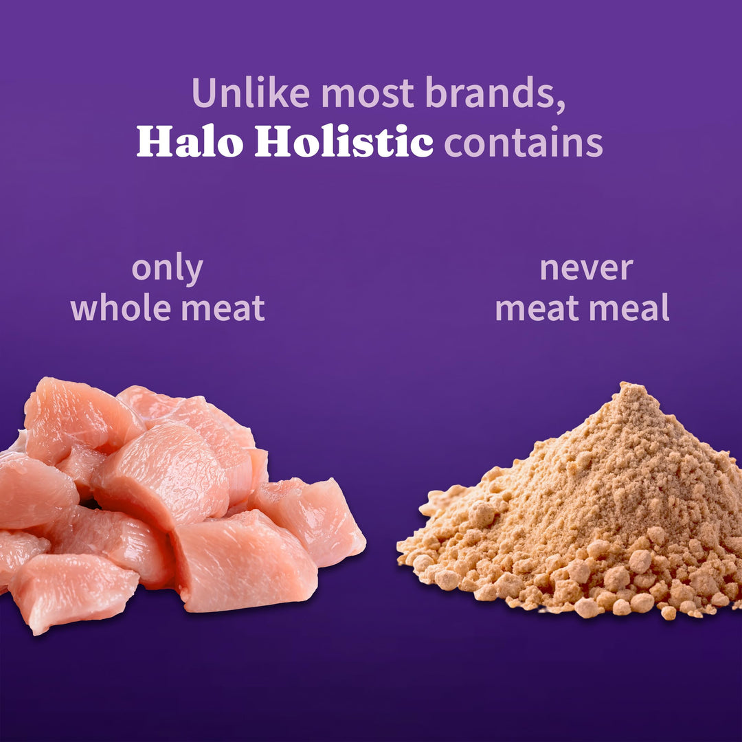 Halo Holistic Dry Cat Food, Cage-Free Chicken Recipe, 3 lb