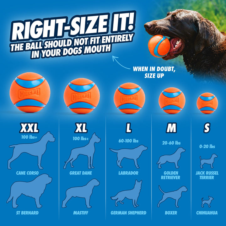 Chuckit! Ultra Rubber Dog Ball, Floating Fetch Toy, Medium 2.5-in, 2-Pack