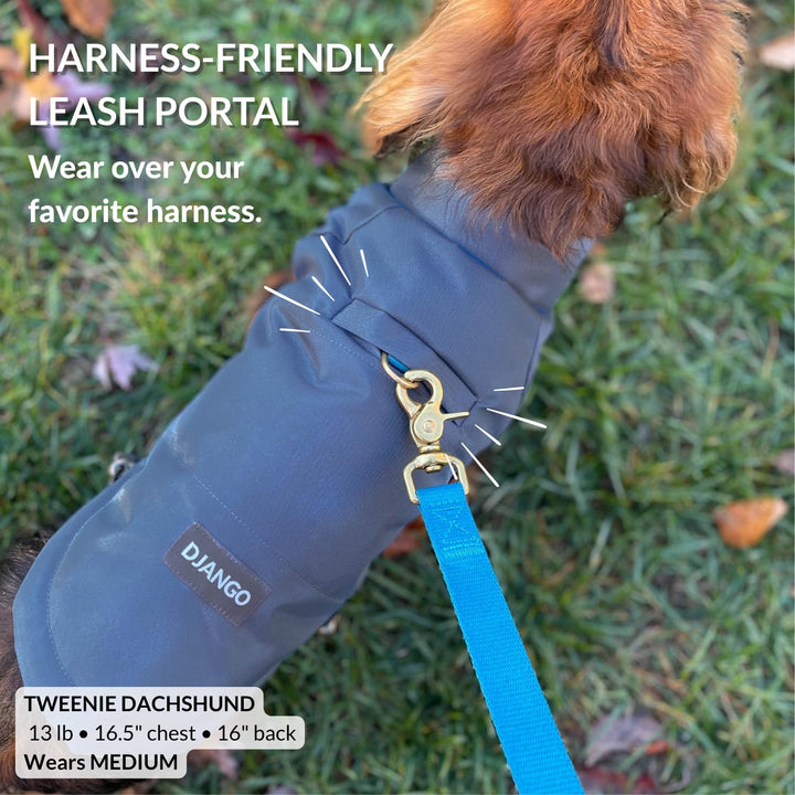 DJANGO Reversible Puffer Dog Coat &amp; Warm Winter Jacket - Blue, Medium