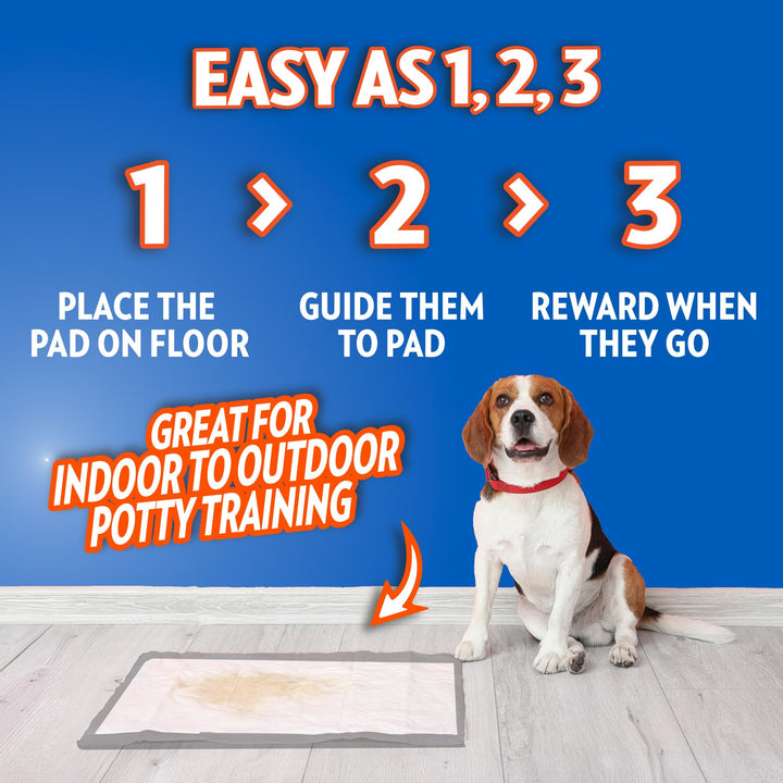 OUT! PetCare XXL Puppy Pads, Heavy Duty Pee Pads for Dogs, 26x30, 30 Count