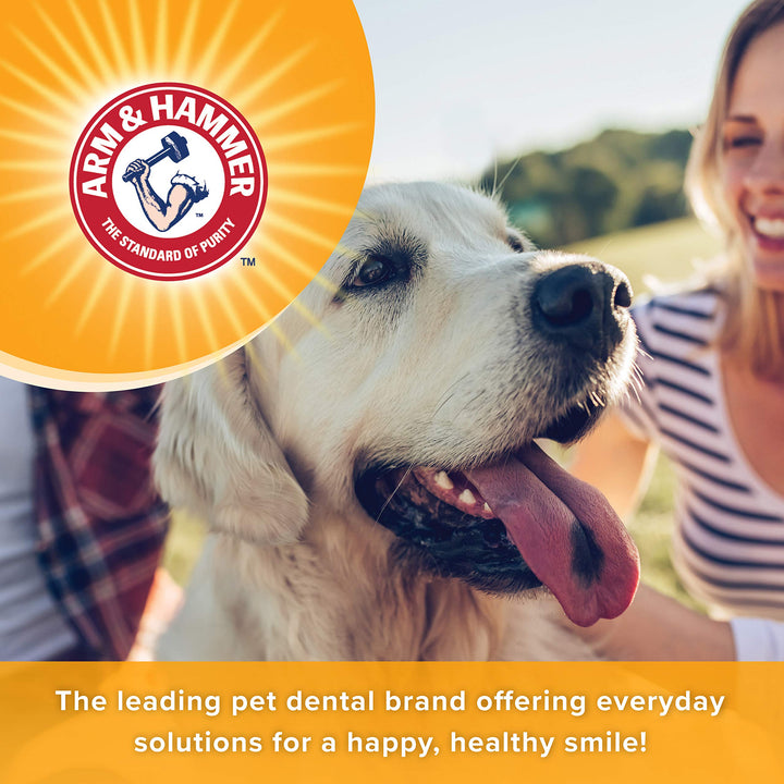 Arm &amp; Hammer Tartar Control Enzymatic Dog Toothpaste, Beef Flavor, 2.5 Oz