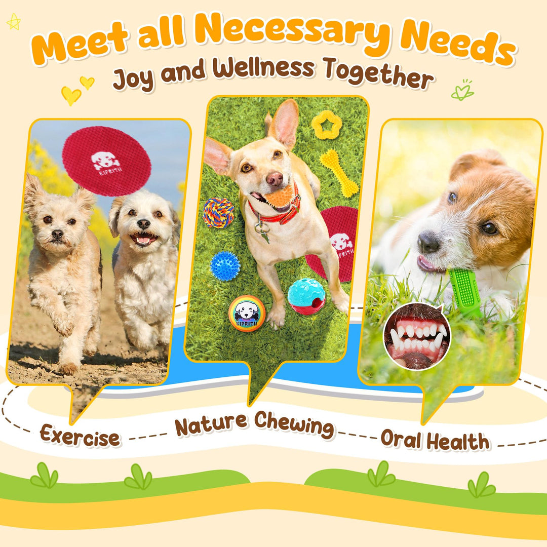 KIPRITII 25 Pack Various Dog/Puppy Toys Set for Small &amp; Medium Dogs