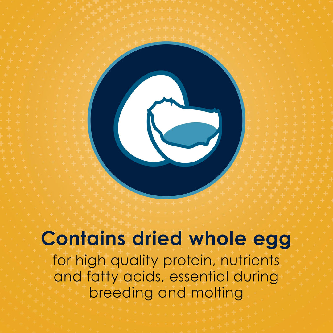 Kaytee Forti-Diet Pro Health Egg-Cite Pet Conure &amp; Lovebird Food, 3 Pound