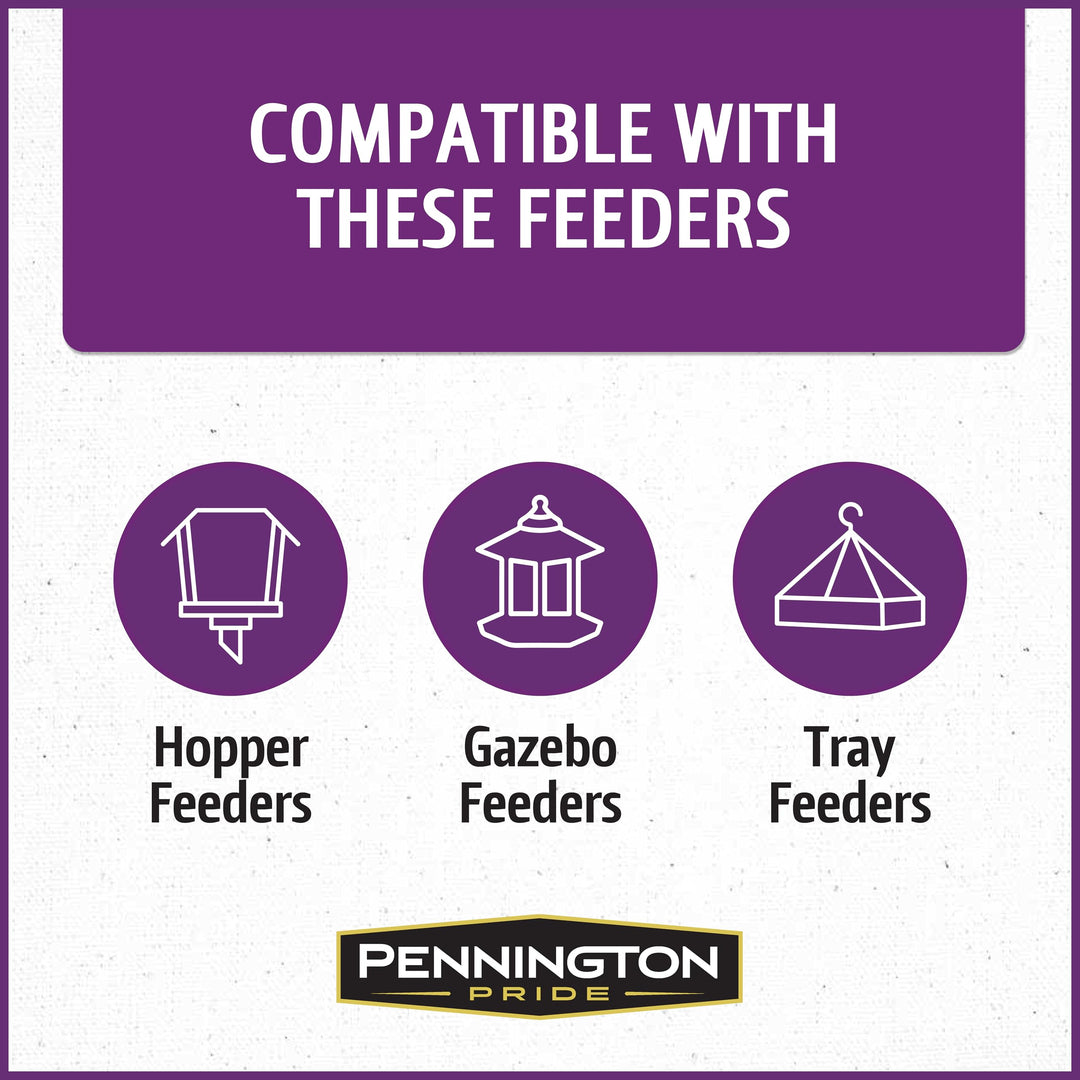 Pennington Songbird Nut &amp; Fruit Blend Wild Bird Seed for Outside Feeders